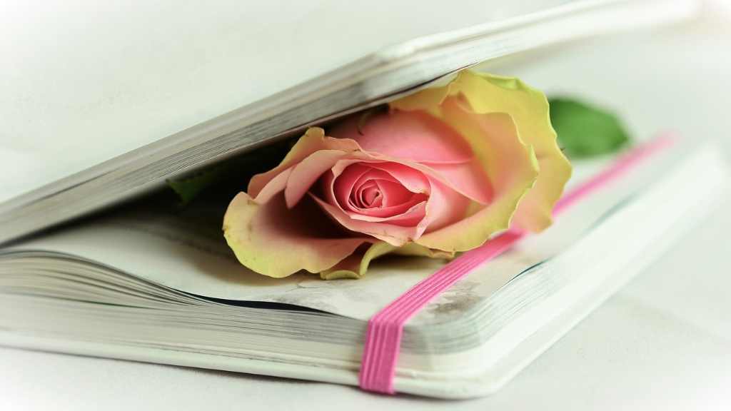 How Long Is The Average Poetry Book
