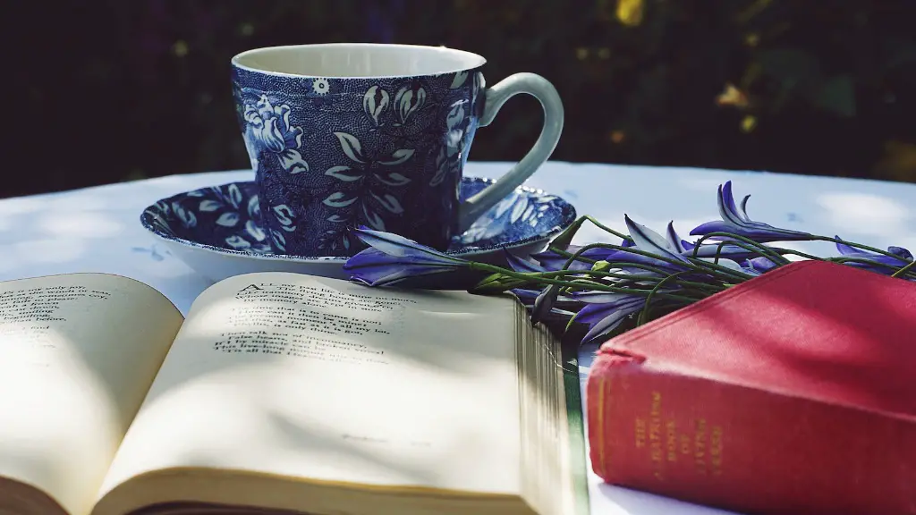 A narrow fellow in the grass by emily dickinson anayliss?