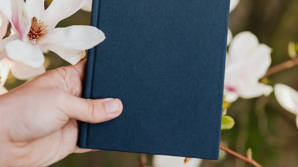 How emily dickinson died?