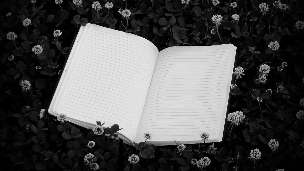 What Are The Literary Devices Of Poetry