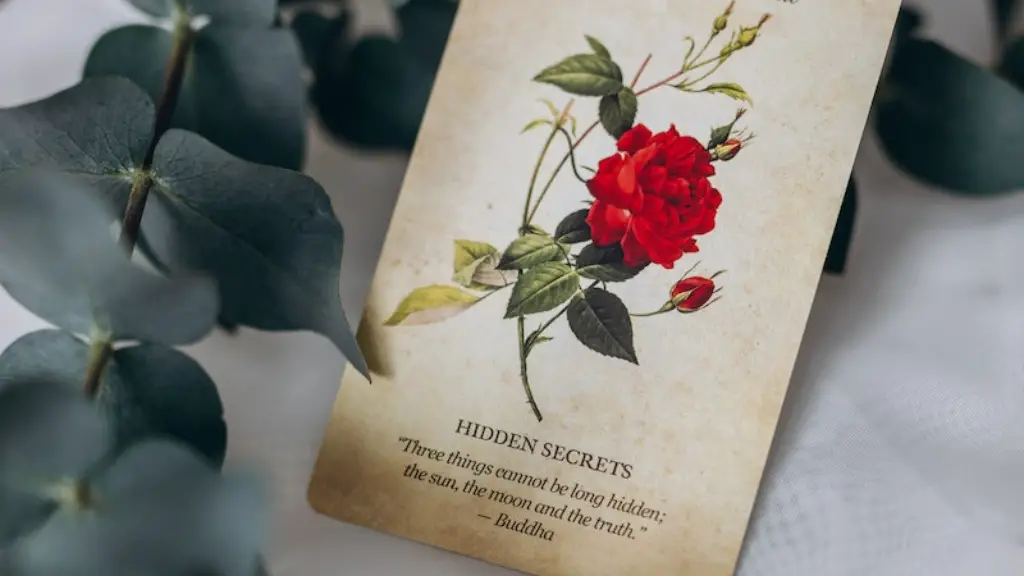 A valentine edgar allen poe literary devices?