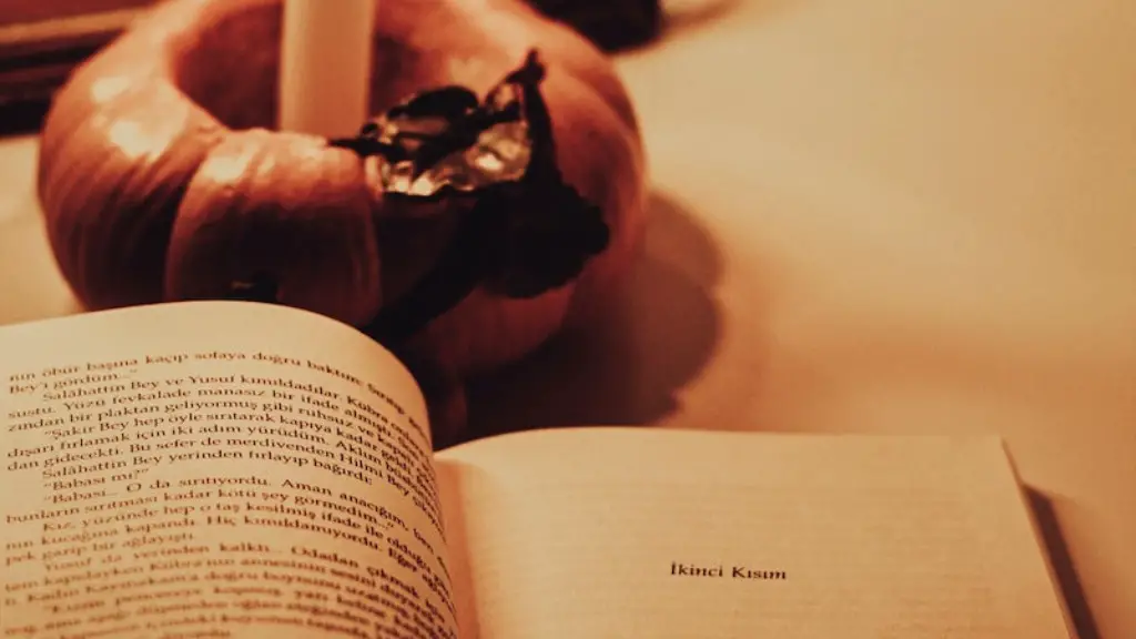 What Does Poetry Mean