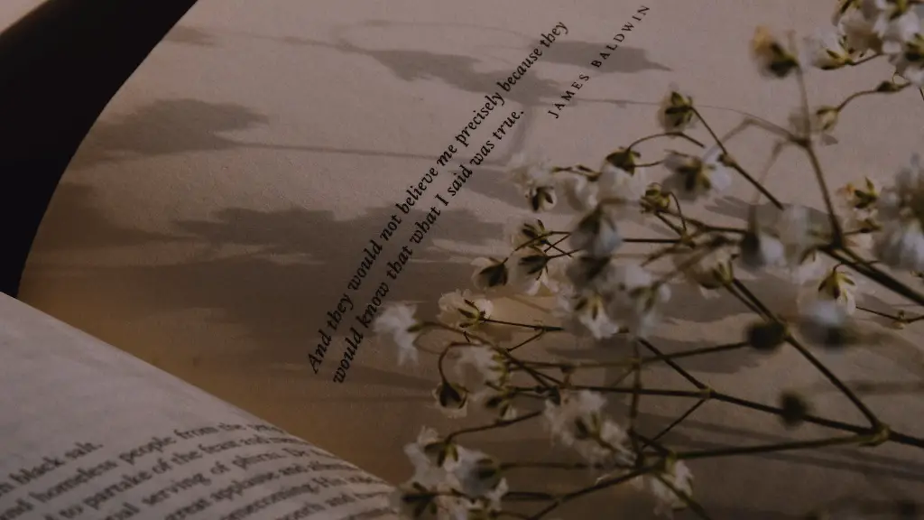 Does emily dickinson use meter?