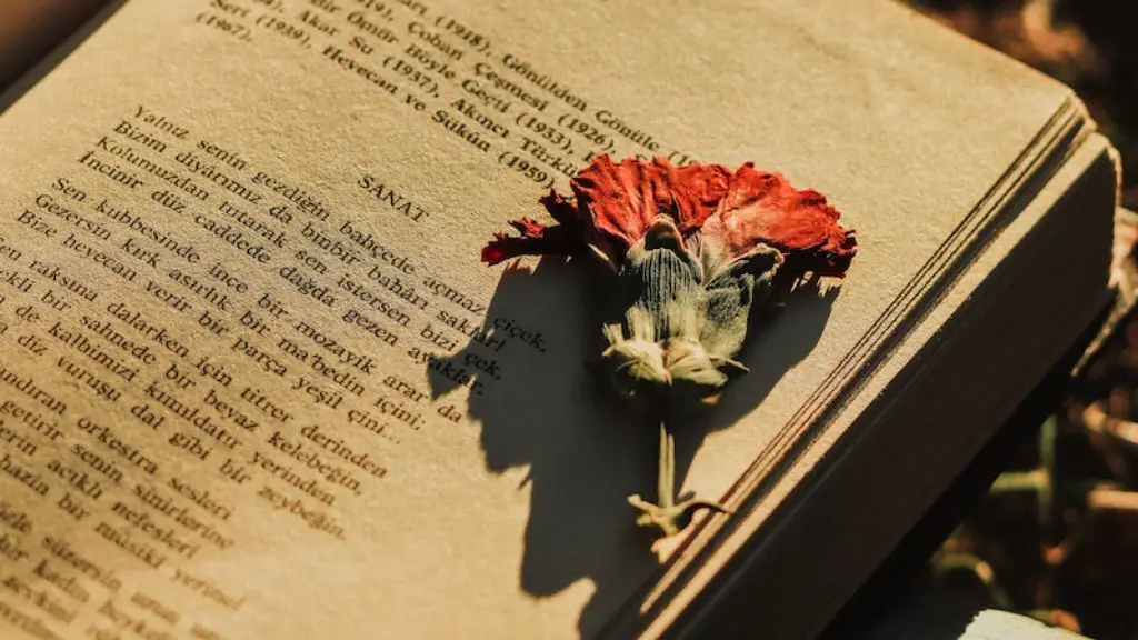 A Terrible Beauty Poetry Of 1916
