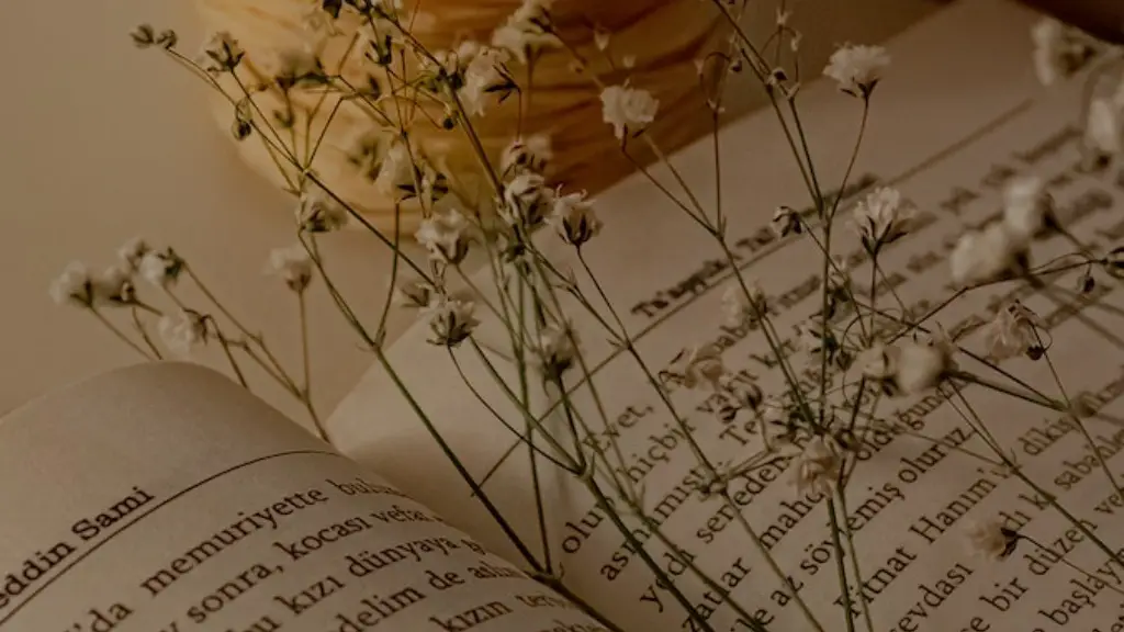 What Is Alliteration In Poetry Poetry Poets